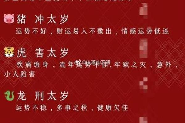 正月出生的属猪人：命格特点与人生运势的全解析