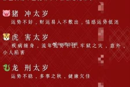 正月出生的属猪人:命格特点与人生运势的全解析
