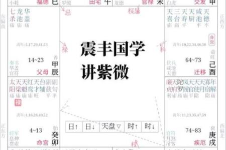 探秘命盘飞符:揭开命理学的神秘面纱