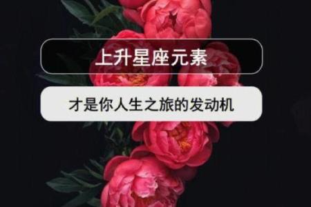 探秘霹雳火城头土命:命理与人生的深刻启示