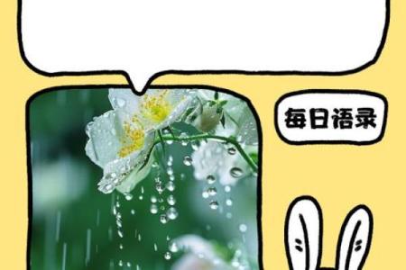 依据出生季节解读命运:你的人生潜力如何?