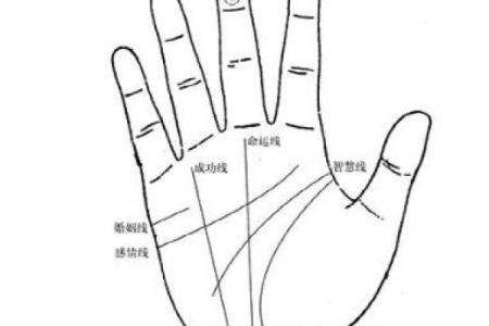 依据名字笔画探秘命格奥秘，解读你的命运密码！