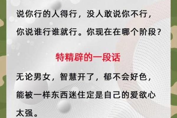 命挂离命的深意与启示：探寻人生的方向与智慧