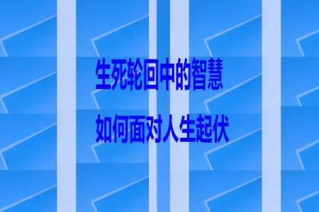 命挂离命的深意与启示：探寻人生的方向与智慧
